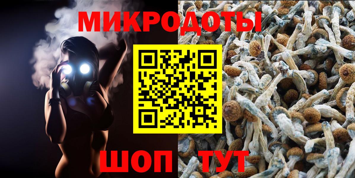 Галлюциногенные грибы Magic Shrooms  Галлюциногенные грибы мицелий  Вход с VPN  Муром 